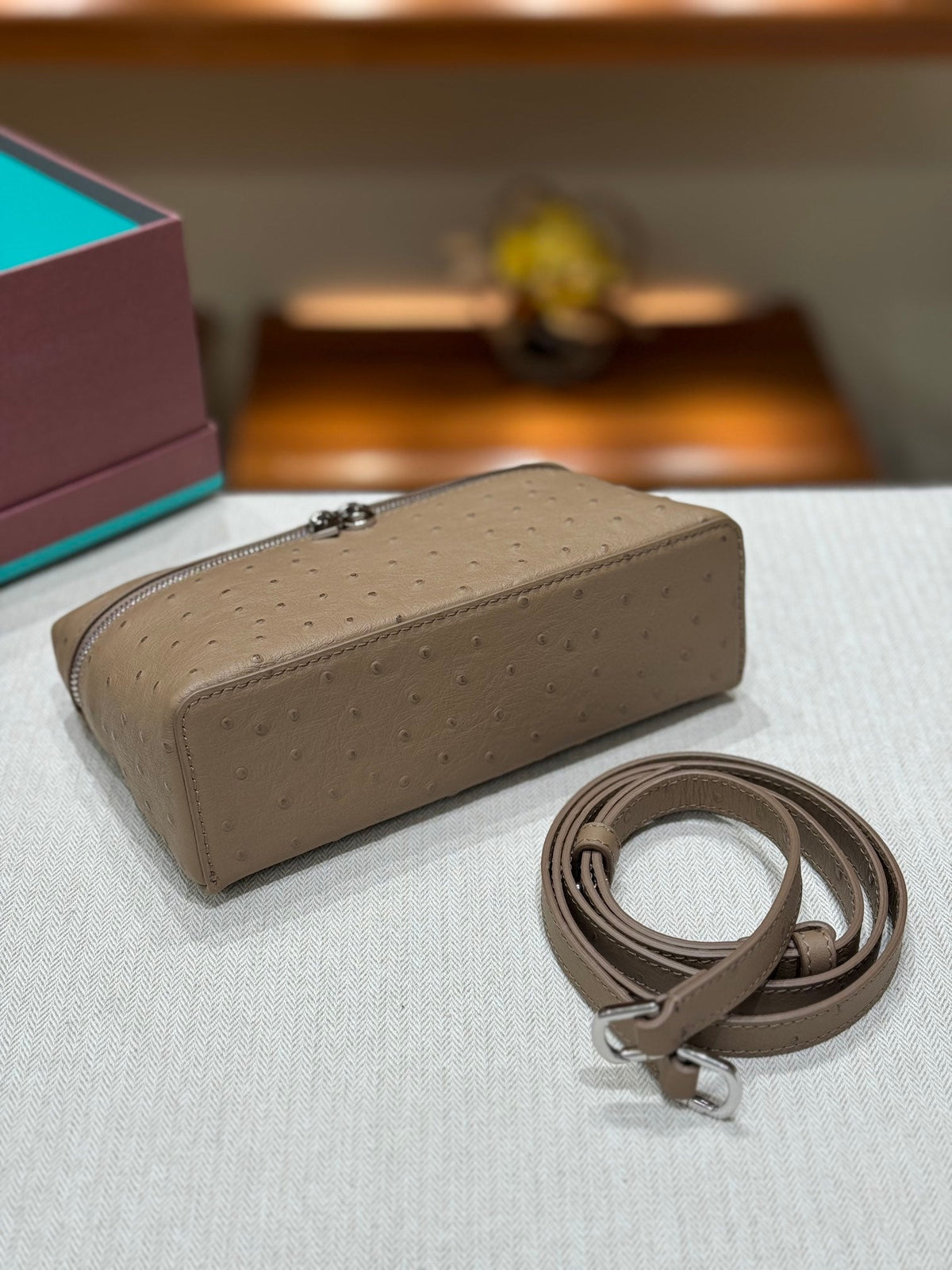 Loro Ostrich Leather Clutch 19
